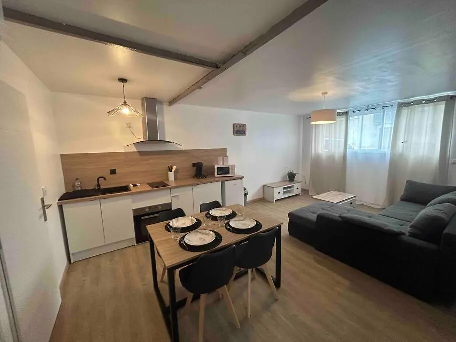Appartement Proche Centre Ville Castres